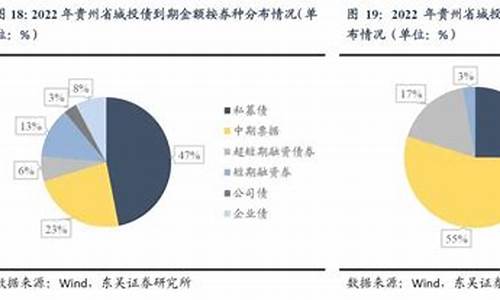 贵州地方债的资金分配方案(贵州省2020政府地方债券)