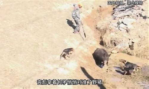 饭馆惊现野猪 食客反应迅速救场(野猪闯面馆吓坏顾客)