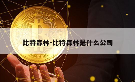 比特森林-比特森林是什么公司