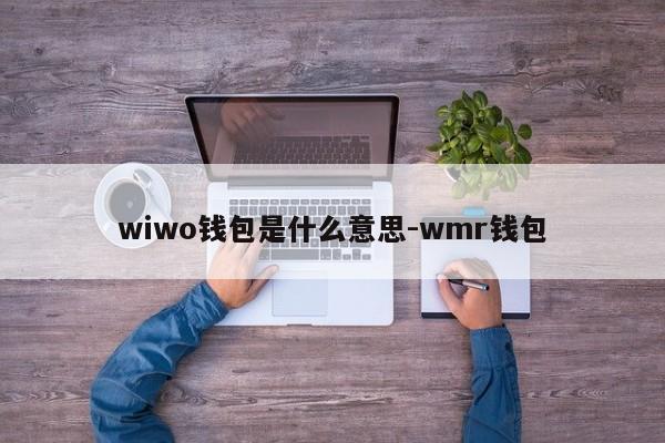 wiwo钱包是什么意思-wmr钱包