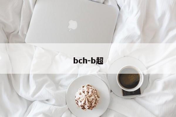 bch-b超