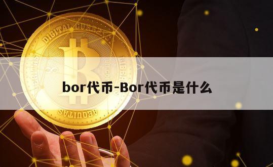 bor代币-Bor代币是什么