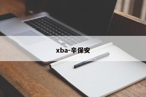 xba-辛保安