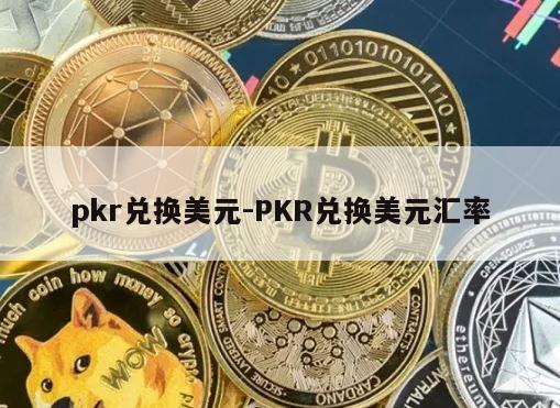 pkr兑换美元-PKR兑换美元汇率