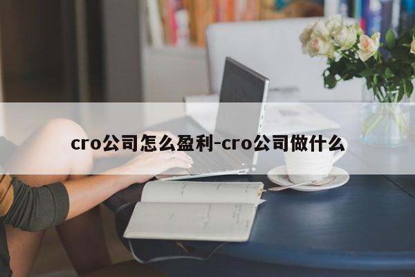 cro公司怎么盈利-cro公司做什么