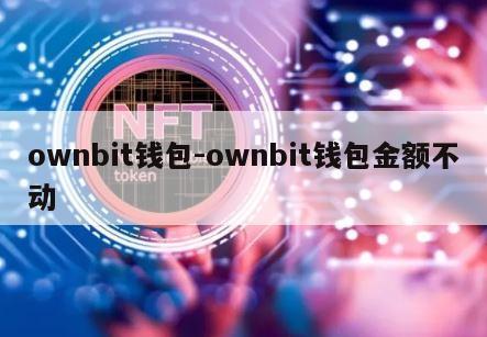 ownbit钱包-ownbit钱包金额不动