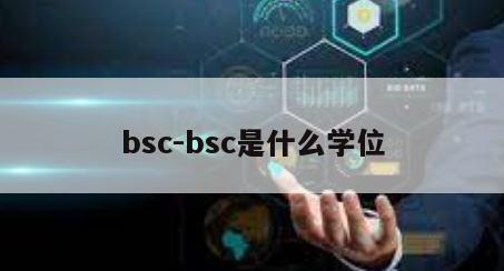 bsc-bsc是什么学位