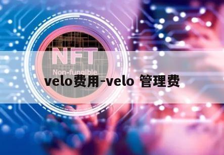 velo费用-velo 管理费