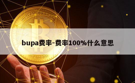 bupa费率-费率100%什么意思