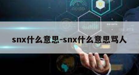 snx什么意思-snx什么意思骂人