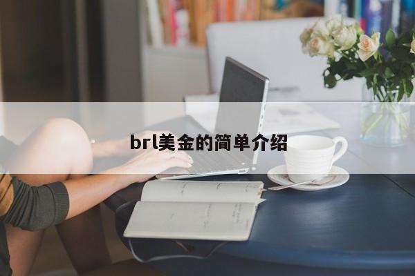 brl美金的简单介绍