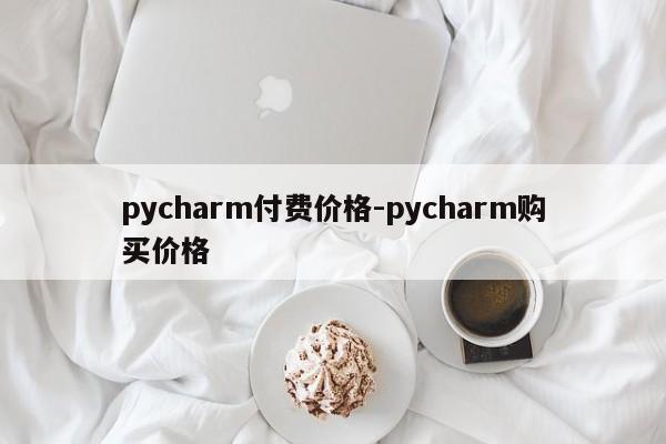 pycharm付费价格-pycharm购买价格