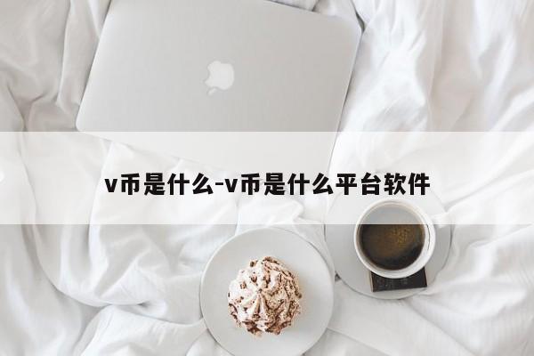 v币是什么-v币是什么平台软件