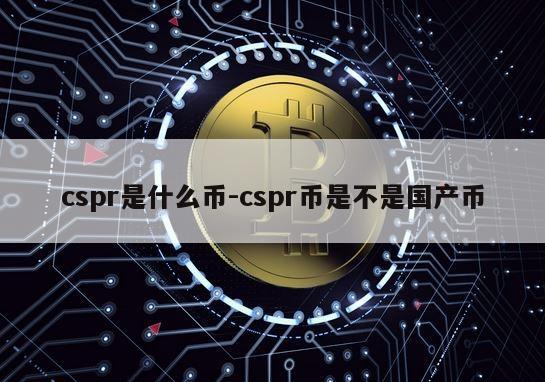 cspr是什么币-cspr币是不是国产币