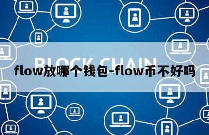 flow放哪个钱包-flow币不好吗