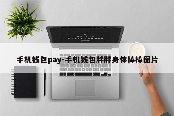 手机钱包pay-手机钱包胖胖身体棒棒图片