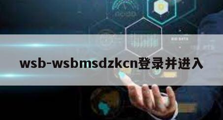 wsb-wsbmsdzkcn登录并进入