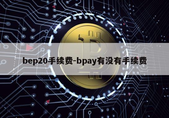 bep20手续费-bpay有没有手续费